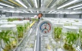 China pledges more efforts to develop modern facility agriculture. Photo by Xinhua.

